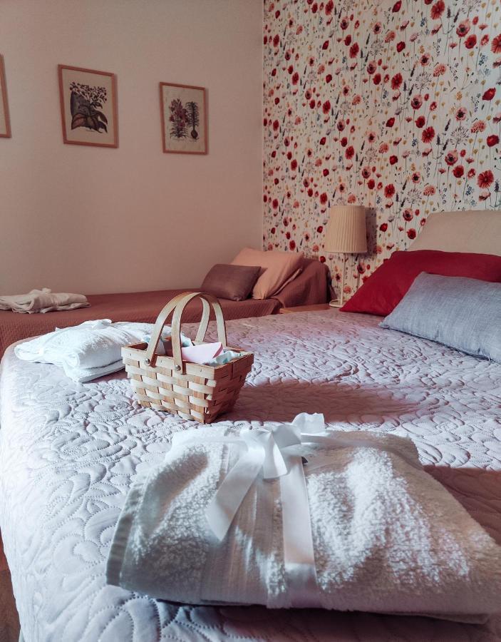 Bed and Breakfast Casale Dei Ricordi Arce Exterior foto