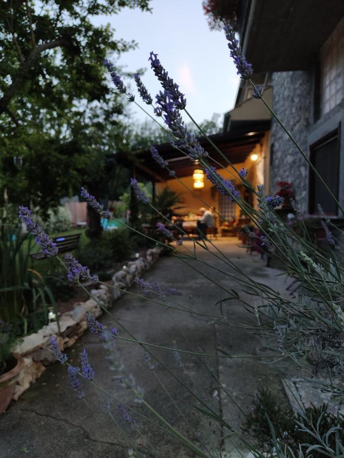 Bed and Breakfast Casale Dei Ricordi Arce Exterior foto