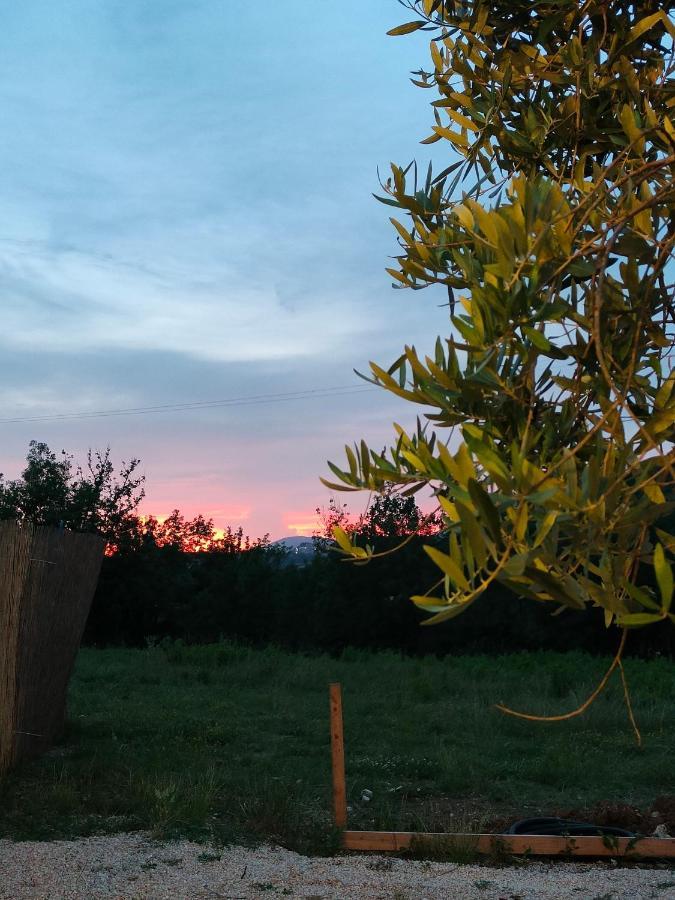 Bed and Breakfast Casale Dei Ricordi Arce Exterior foto