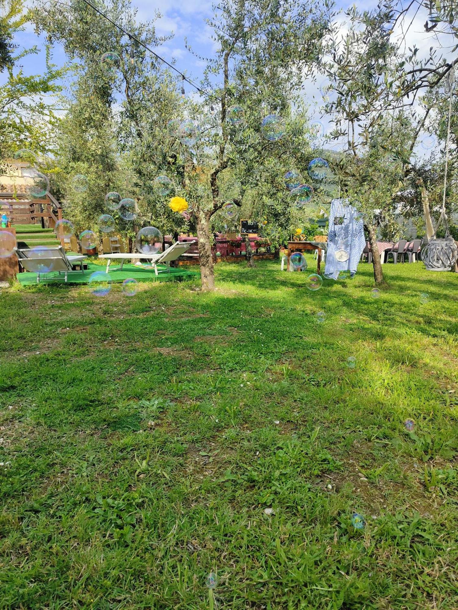 Bed and Breakfast Casale Dei Ricordi Arce Exterior foto